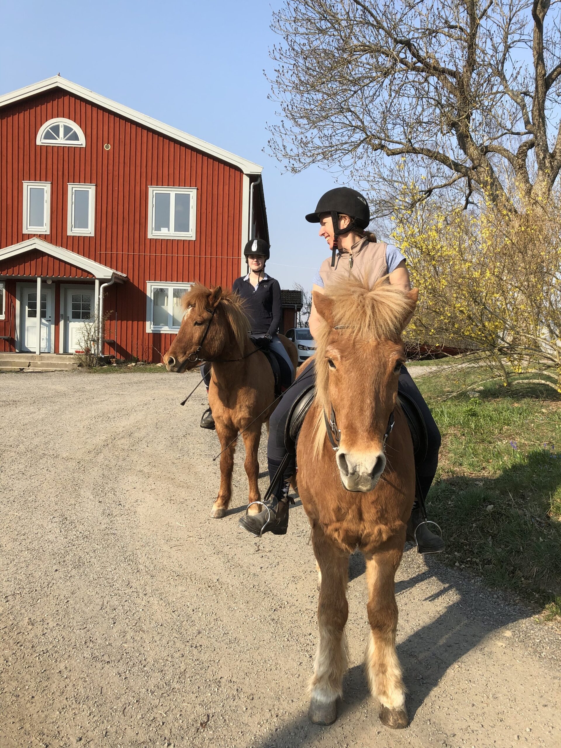 Internat på backgrund och hästridning